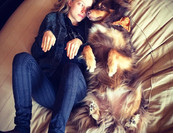 Amanda Seyfried ragaszkodik kutyájához