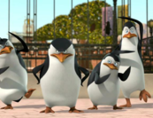 Te is lehetsz Pingvinekkel táncoló! 