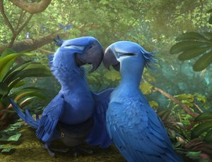 Rio 2